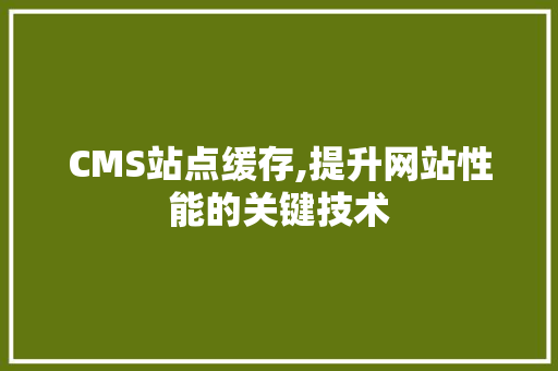 CMS站点缓存,提升网站性能的关键技术
