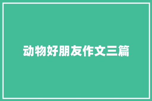 CMS系统站点在现代网络建设中的重要作用与应用