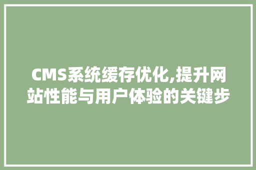 CMS系统缓存优化,提升网站性能与用户体验的关键步骤