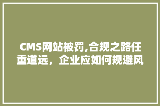 CMS网站被罚,合规之路任重道远，企业应如何规避风险