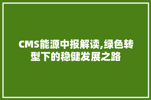 CMS能源中报解读,绿色转型下的稳健发展之路 英文谷歌算法