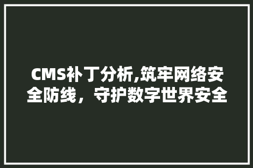 CMS补丁分析,筑牢网络安全防线，守护数字世界安全