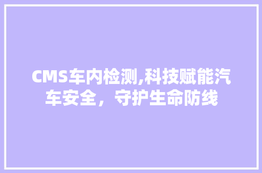 CMS车内检测,科技赋能汽车安全，守护生命防线 网站优化