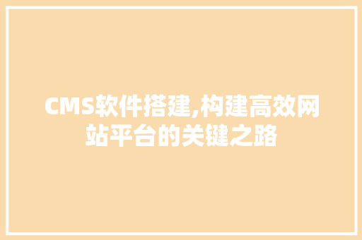 CMS软件搭建,构建高效网站平台的关键之路