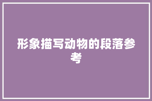 CMS数据库,构建数字化时代的智慧基石