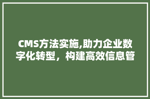 CMS方法实施,助力企业数字化转型，构建高效信息管理平台