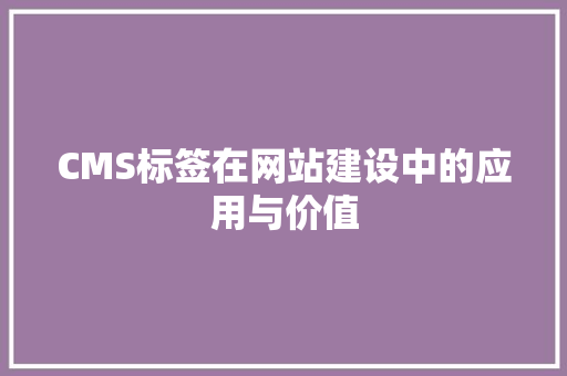 CMS标签在网站建设中的应用与价值