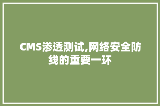CMS渗透测试,网络安全防线的重要一环