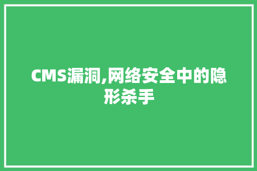 CMS漏洞,网络安全中的隐形杀手