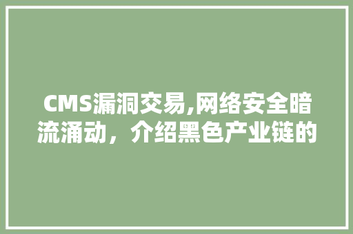 CMS漏洞交易,网络安全暗流涌动，介绍黑色产业链的隐秘世界