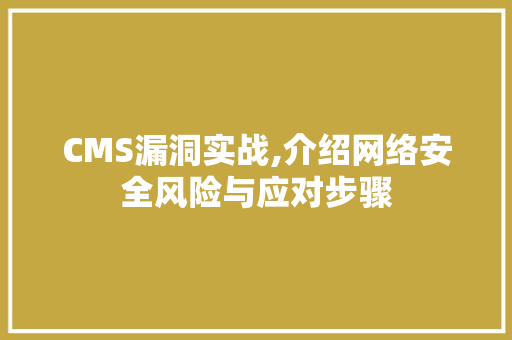 CMS漏洞实战,介绍网络安全风险与应对步骤 360搜优化
