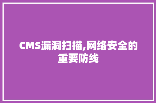 CMS漏洞扫描,网络安全的重要防线