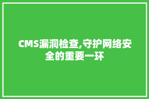 CMS漏洞检查,守护网络安全的重要一环
