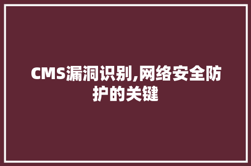 CMS漏洞识别,网络安全防护的关键