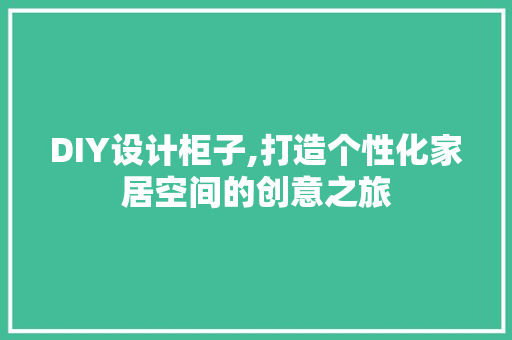 DIY设计柜子,打造个性化家居空间的创意之旅 网站优化