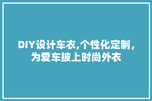 DIY设计车衣,个性化定制，为爱车披上时尚外衣 网站开发