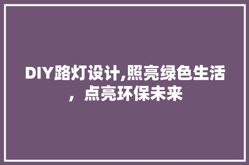 DIY路灯设计,照亮绿色生活，点亮环保未来 网站开发