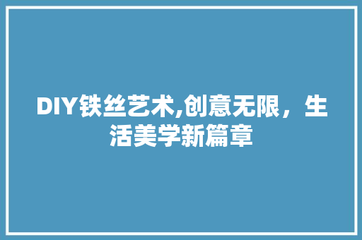 DIY铁丝艺术,创意无限，生活美学新篇章 头条优化