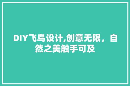 DIY飞鸟设计,创意无限，自然之美触手可及 网站开发