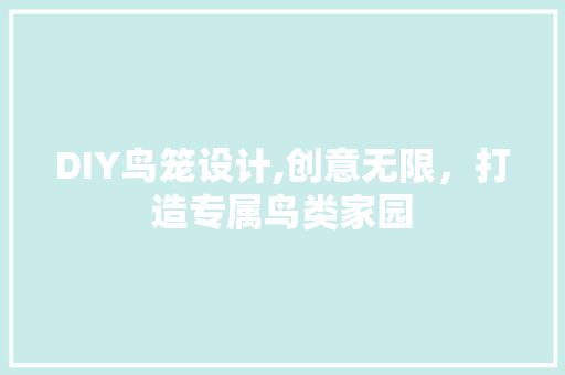 DIY鸟笼设计,创意无限，打造专属鸟类家园 百度算法