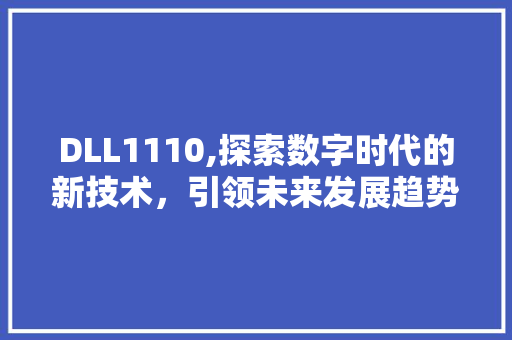 DLL1110,探索数字时代的新技术，引领未来发展趋势