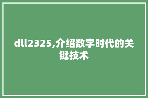 dll2325,介绍数字时代的关键技术 网站开发