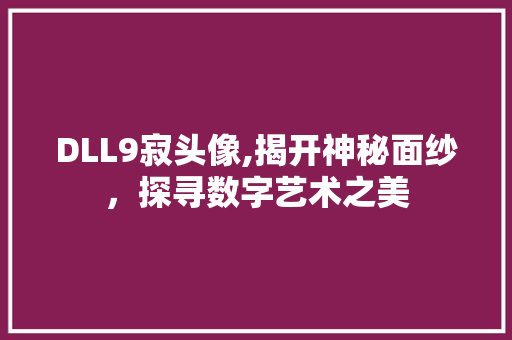 DLL9寂头像,揭开神秘面纱，探寻数字艺术之美