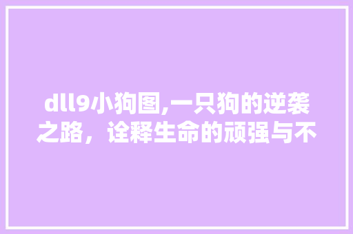 dll9小狗图,一只狗的逆袭之路，诠释生命的顽强与不屈 英文谷歌算法