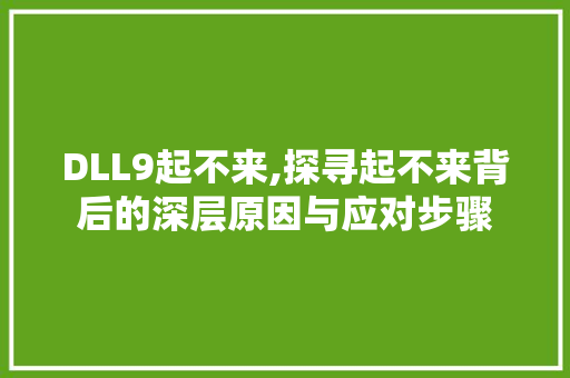 DLL9起不来,探寻起不来背后的深层原因与应对步骤