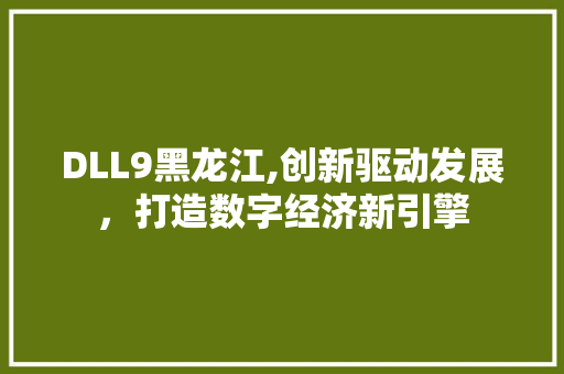 DLL9黑龙江,创新驱动发展，打造数字经济新引擎 seo技术