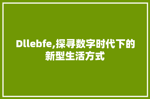 Dllebfe,探寻数字时代下的新型生活方式