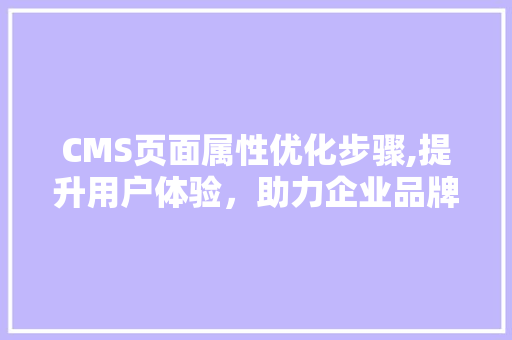 CMS页面属性优化步骤,提升用户体验，助力企业品牌建设