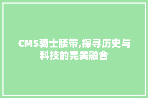 CMS骑士腰带,探寻历史与科技的完美融合 网站开发