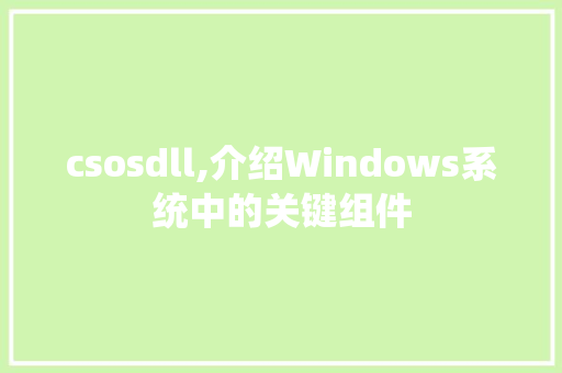 csosdll,介绍Windows系统中的关键组件