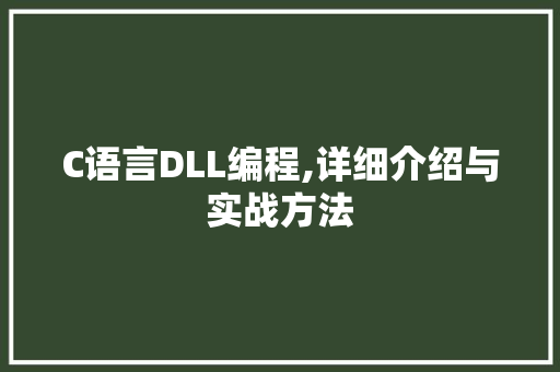 C语言DLL编程,详细介绍与实战方法