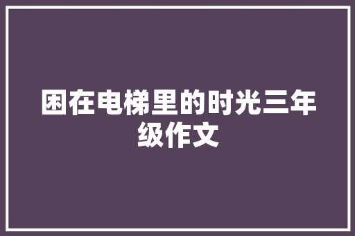 夺宝网站制作,夺宝平台怎么搭建。