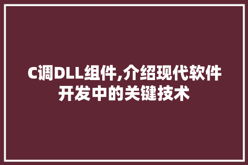 C调DLL组件,介绍现代软件开发中的关键技术