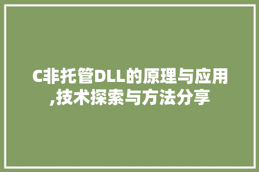 C非托管DLL的原理与应用,技术探索与方法分享