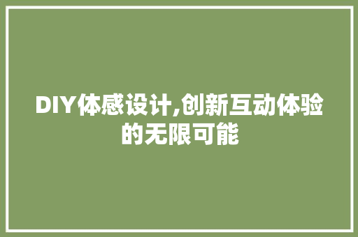 DIY体感设计,创新互动体验的无限可能
