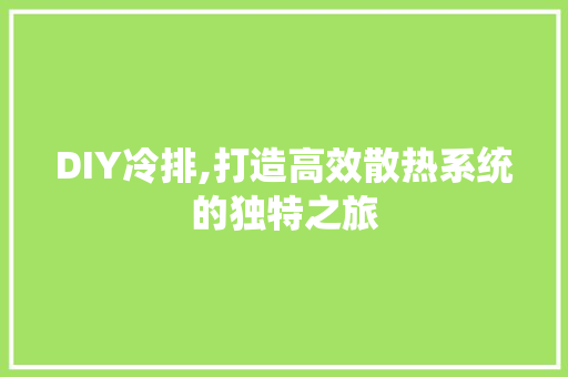 DIY冷排,打造高效散热系统的独特之旅
