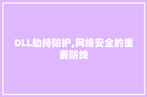 DLL劫持防护,网络安全的重要防线 英文谷歌算法