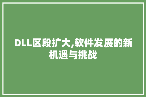 DLL区段扩大,软件发展的新机遇与挑战 网站优化