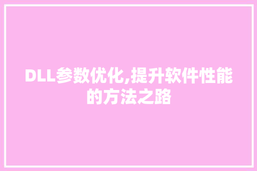 DLL参数优化,提升软件性能的方法之路 seo技术