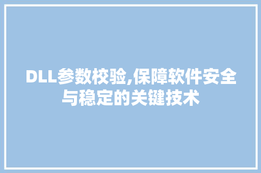 DLL参数校验,保障软件安全与稳定的关键技术