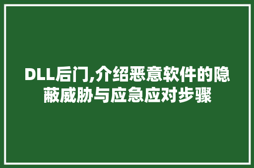 DLL后门,介绍恶意软件的隐蔽威胁与应急应对步骤