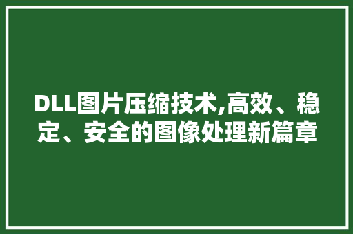 DLL图片压缩技术,高效、稳定、安全的图像处理新篇章