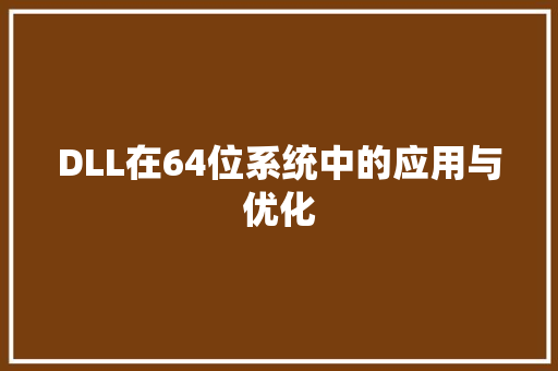 DLL在64位系统中的应用与优化