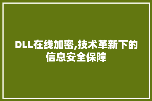 DLL在线加密,技术革新下的信息安全保障 百度算法