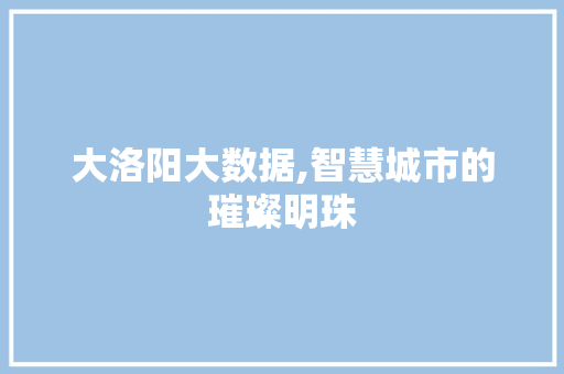 大洛阳大数据,智慧城市的璀璨明珠