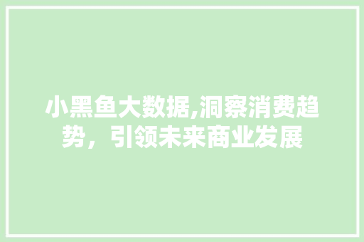 小黑鱼大数据,洞察消费趋势，引领未来商业发展